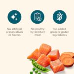 Nutrish Grain Free Dry Dog Food, Salmon & Sweet Potato Recipe, 23 lb. Bag (Rachael Ray) - Image 6