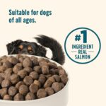 Nutrish Grain Free Dry Dog Food, Salmon & Sweet Potato Recipe, 23 lb. Bag (Rachael Ray) - Image 7