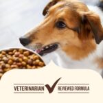 Nutrish Grain Free Dry Dog Food, Salmon & Sweet Potato Recipe, 23 lb. Bag (Rachael Ray) - Image 8