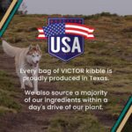 VICTOR Super Premium Dog Food – Hi-Pro Plus Dry Kibble – High Protein Dog Food with 30% Protein – Beef, Chicken, Pork, Fish Meals, Gluten Free - for High Energy and Active Dogs & Puppies, 5lbs - Image 9