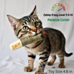 Nestpark Cat Doobie Catnip Cat Toy - Crinkle Kitten Kicker with Extra Strong Catnip - Funny Interactive Cat Toy Indoor Cat Gifts - Image 3