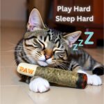 Nestpark Cat Doobie Catnip Cat Toy - Crinkle Kitten Kicker with Extra Strong Catnip - Funny Interactive Cat Toy Indoor Cat Gifts - Image 6