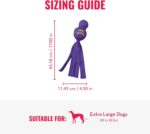 KONG Wubba - Dog Toy for Tug of War & Fetch - Dog Supplies for Puppy & Dog Playtime - Outdoor & Indoor Dog Toy - for XL Dogs - Randomly Provided Color - Image 5