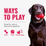 KONG Wubba - Dog Toy for Tug of War & Fetch - Dog Supplies for Puppy & Dog Playtime - Outdoor & Indoor Dog Toy - for XL Dogs - Randomly Provided Color - Image 6
