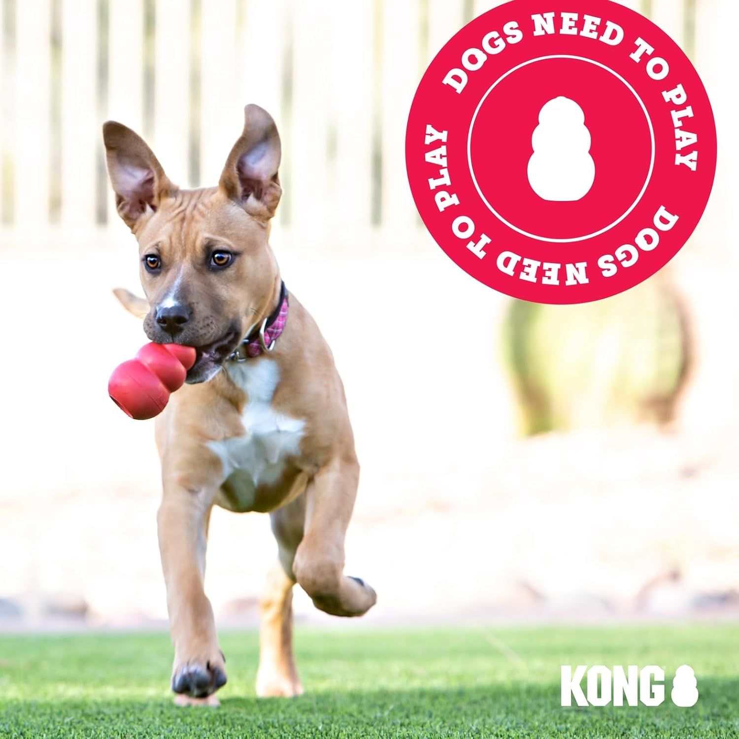 KONG Wubba - Dog Toy for Tug of War & Fetch - Dog Supplies for Puppy & Dog Playtime - Outdoor & Indoor Dog Toy - for XL Dogs - Randomly Provided Color - Image 8