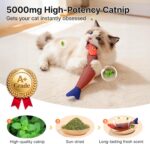 Potaroma Cat Toys Saury Fish, 3 Pack, Catnip Crinkle Sound, Soft and Durable, Interactive Kitten Kicker for Indoor Kitty Exercise 9.4 Inches for All Breeds - Image 3