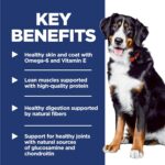 Hill's Science Diet Adult 1-5 Large Breed Dry Dog Food, Chicken & Barley, 35 lb. Bag - Image 5