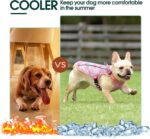 Kuoser Dog Cooling Vest for Dogs, Lightweight Cooling Shirt for Small Medium Large Dogs, Adjustable Pet Cooler Jacket with Reflective Stripe, UV Protection Pet Harness T-Shirt for Summer Outdoor - Image 7