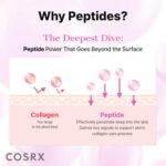 COSRX 6X Peptide Collagen Skin Booster Toner Serum for Dull & Uneven Skin, Preps Skin with Copper Peptides, GHK-Cu, Skin Renewal Boosting Facial Essence, Korean Skin Care, 5.07 oz - Image 7