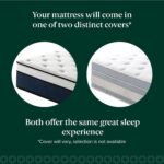 Zinus 14 Inch Cooling Comfort Support Hybrid Mattress [New Version], King, Fiberglass Free, Medium Plush, Cooling Motion Isolation, Certified Safe Foams & Fabric, Mattress in A Box - Image 4