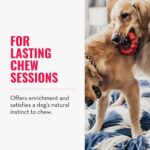 KONG Ring - Natural Rubber Ring Toy for Healthy Chewing Habits - Chew Toy Supports Dog Dental Health - Dog Toy Supports Instincts During Playtime - for Small/Medium Dogs - Image 4