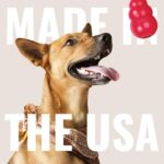 KONG Ring - Natural Rubber Ring Toy for Healthy Chewing Habits - Chew Toy Supports Dog Dental Health - Dog Toy Supports Instincts During Playtime - for Small/Medium Dogs - Image 7