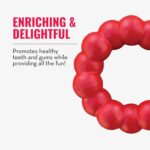 KONG Ring - Natural Rubber Ring Toy for Healthy Chewing Habits - Chew Toy Supports Dog Dental Health - Dog Toy Supports Instincts During Playtime - for Small/Medium Dogs - Image 8