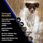 VICTOR Super Premium Dog Food — Sensitive Skin and Stomach — Beef Meal & Brown Rice Recipe Dry Kibble — Gluten Free, No Chicken, Ideal for Dogs with Allergies — Adult and Puppy Food, 5 lb - Image 3