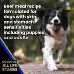 VICTOR Super Premium Dog Food — Sensitive Skin and Stomach — Beef Meal & Brown Rice Recipe Dry Kibble — Gluten Free, No Chicken, Ideal for Dogs with Allergies — Adult and Puppy Food, 5 lb - Image 5