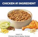 Hill's Science Diet Adult 1-6 Dry Dog Food, Chicken & Barley, 5 lb. Bag - Image 4