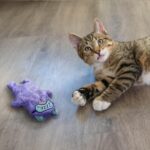 Catstages Purr Pillow Cat Toy – Plush Cat Toy with Touch-Activated Purr for Calming Cats & Kittens - Image 9