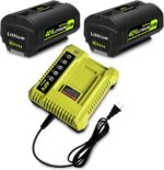 BatPower 2-Pack 6.5Ah 40V Replacement Battery and Charger Starter Kit Compatible with Ryobi 40V Tools, 2 High Capacity Lithium-Ion Batteries and 1 Charger OP4050A OP401 (3-Piece Set) - Image 2
