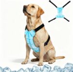 Cooling Vest, 30% Lighter Than Water Vests, Dry-Chill Lightweight Physical Gear (Prevents Over-Chilling), Adjustable Stretch Cords, dog cooling vest for Indoor Outdoor, Hot Weather, summer use(L) - Image 2