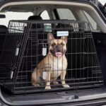 Gardner Pet Collapsible Dog Crate for Car, Portable Metal Frame Travel Dog Crate, Tapered Kennel Fit SUV Trunk, Car Dog Cage Measures 29" Lx 18.5" W x 21" H Kennel Carrier for Puppy/Small Dogs - Image 2