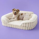 LE SURE Cute Dog Bed Medium Size Dog, Orthopedic Waterproof Medium Pet Beds with Sides, High Back Non-Slip Bottom and Egg-Crate Foam Pet Couch Sofa with Washable Removable Cover, Beige - Image 2