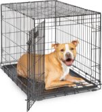 MidWest Homes for Pets 36-Inch iCrate for Medium-Large Breeds, 41-70 lbs, Single Door Folding Dog Crate with Divider Panel, Leak-Proof Tray & Secure Latches, Portable, Durable & Easy to Assemble - Image 2