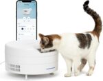 PetSafe FreshFeed Refrigerated Pet Feeder Automatic Wet Food Feeder for Cats & Small Dogs App Control 6 Fresh Meals Stainless Steel Inserts White - Image 2
