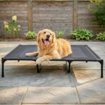 Suddus Elevated Dog Bed for Large Dogs 140lb, Breathable Cooling Raised Dog Cot with Dual Support Bars & Metal Frame, No-Slip Feet, Waterproof Pet Bed for Indoor/Outdoor, X-Large, 48 * 36 * 9in, Grey - Image 2