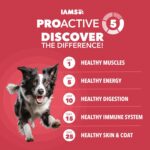 IAMS Proactive Health Dry Dog Food, Adult Dog Food Dry Recipe, Lamb & Rice, 30 lb. Bag - Image 3