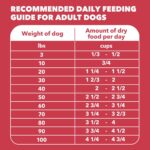 IAMS Proactive Health Dry Dog Food, Adult Dog Food Dry Recipe, Lamb & Rice, 30 lb. Bag - Image 10