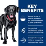 Hill's Science Diet Adult Perfect Weight & Joint Support Large Breed Dry Dog Food, Chicken, 25 lb. Bag - Image 5