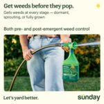 Sunday Weed & Green + Liquid Lawn Kickstart Spring Weed and Feed Kit, Pre-Emergent & Post-Emergent Lawn Weed Killer + 22-0-2 Lawn Fertilizer, Kills Dandelion + Crabgrass, for Lawns up to 5,000 sq ft - Image 3