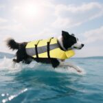 Amazon Basics Dog Adjustable Life Jacket with Reflective Stripes, Yellow, X-Large - Image 7