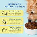 The Pets Table Beef & Berries Grain-Free Air Dried Dog Food, 1 lb (16 Oz) Bag - Image 4