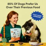 The Pets Table Beef & Berries Grain-Free Air Dried Dog Food, 1 lb (16 Oz) Bag - Image 10
