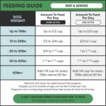The Pets Table Beef & Berries Grain-Free Air Dried Dog Food, 1 lb (16 Oz) Bag - Image 12