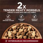 Purina One True Instinct Dry Dog Food, Muscle & Joint Support, Grain-Free Real Beef - 12.5 lb Bag - Image 8