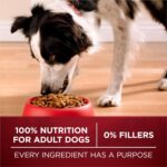 Purina One True Instinct Dry Dog Food, Muscle & Joint Support, Grain-Free Real Beef - 12.5 lb Bag - Image 10