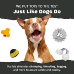 Barkbox Dogness Monster Super Chewer Dog Chew Toy - Tough Dental Stimulating Toy for Aggressive Chewers | Large - Image 8