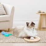 JXFUKAL Interactive cat Toy, Automatic Cat Wand Toy with Stable Wooden Base, 2 PCS Detachable Cat Teaser, 5PCS Refills Replacement & Hanging Elastic String, Kitty Kitten Toys Feather Spring Bird Toy - Image 9