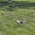 MidWest Homes for Pets 24-Inch Exercise Pen, for Indoor and Outdoor Use, 16 Sq Feet of Play, Single Door Folding Dog Pen, with Large Door Opening & Secure Latch, Easy to Set Up, Foldable Dog Playpen - Image 3