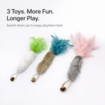 3 Pack Rabbit Fur Catnip Toys with Feathers – Interactive Carrot Cat Toys with Galls Fruit for Indoor Cats and Kittens - Image 7