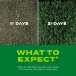 Scotts Turf Builder Rapid Grass Tall Fescue Mix, 5.6 lbs. | Combination Grass Seed and Fertilizer for Lawns, Lawn Seed That Grows in Just Weeks - Image 7
