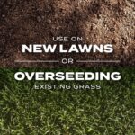 Scotts Turf Builder Rapid Grass Tall Fescue Mix, 5.6 lbs. | Combination Grass Seed and Fertilizer for Lawns, Lawn Seed That Grows in Just Weeks - Image 9