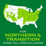 Scotts Turf Builder Rapid Grass Tall Fescue Mix, 5.6 lbs. | Combination Grass Seed and Fertilizer for Lawns, Lawn Seed That Grows in Just Weeks - Image 12