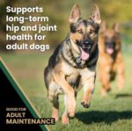 VICTOR Super Premium Dog Food – Purpose Hero Canine Kibble – Premium Gluten Free Dog Food for Active Adult Dogs – High Protein with Glucosamine and Chondroitin for Hip and Joint Health, 30lbs - Image 5