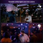 Philips Hue Festavia Globe Outdoor String Lights, White & Color Ambiance, 45ft,16 Bulbs, Dimmable, Control with Hue App or Voice, Bridge Required - Image 4
