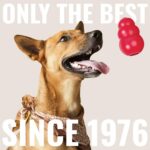 KONG Cozie Marvin Moose and SqueakAir Balls, 3 Pack, for Small Dogs | Soft Plush Moose for Indoor Cuddle Play Paired with Durable SqueakAir Balls for Lively Fetch & Outdoor Fun - Image 7