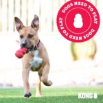 KONG Cozie Marvin Moose and SqueakAir Balls, 3 Pack, for Small Dogs | Soft Plush Moose for Indoor Cuddle Play Paired with Durable SqueakAir Balls for Lively Fetch & Outdoor Fun - Image 8