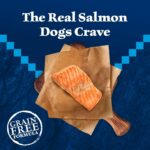 Blue Buffalo Wilderness Salmon Adult Dry Dog Food, Grain-Free, 24 lb | 39g Protein, Real Salmon #1 Ingredient, Antioxidant-Rich Fruits & Veggies, High Protein to Fuel Adventures - Image 5